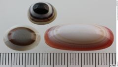 Foto von Quarz (Chalcedon, Achat, Sardonyx) (NHMW-MIN-Ay801)